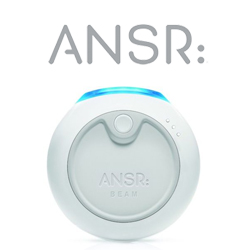 ANSR Logo
