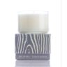 Burn VOYAGE Silver Springs Candle - 5 oz.