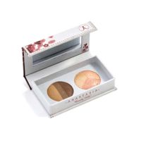 Anastasia Highlighting Brow Kit