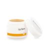 Dr. Hauschka Lip Balm, 4.2 gr., 0.14 OZ