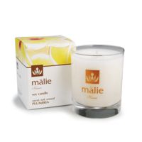 Malie Organics Coconut Vanilla Soy Candle on white background