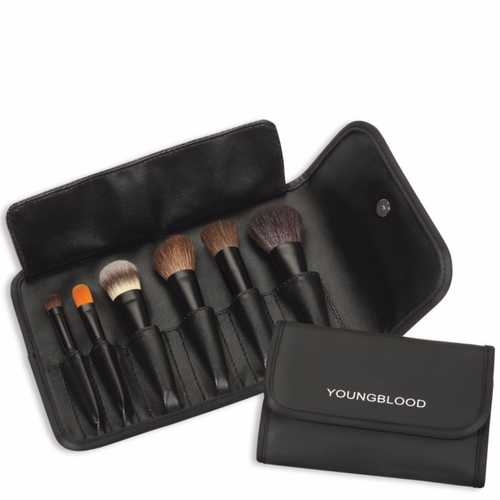 Youngblood Professional Mini Brush Kit, 6 pieces
