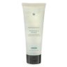 SkinCeuticals Hydrating B5 Masque, 75ml, 2.5oz