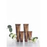 Sothys Cellu-Guard Age-defying Tinted Care - Low Protection SPF10 1.7 oz