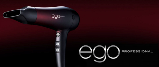 Ego Professional Logo