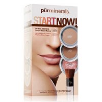 Pur Minerals 4-in-1 Pressed Mineral Makeup SPF 15 - Golden Medium - Kit