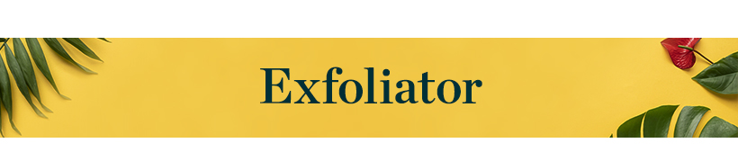 Exfoliator Banner