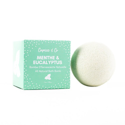 100% Natural Bath Bombs - Eucalyptus Mint