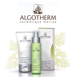 Algotherm Logo