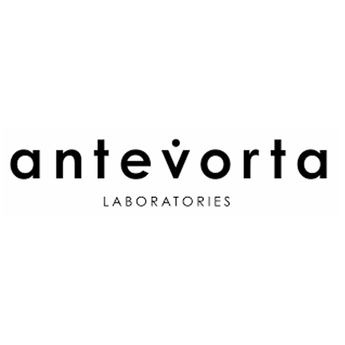 Antevorta Logo