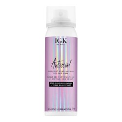 Antisocial Overnight Dry Hair Mask