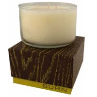 Burn  on white background