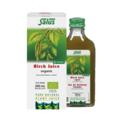 Birch Juice on white background