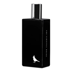 Black Edition Fragrance