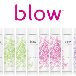 Blow Logo