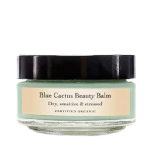 Evanhealy Blue Cactus Beauty Balm on white background