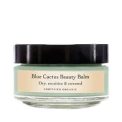 Blue Cactus Beauty Balm on white background