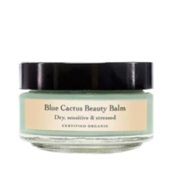 Blue Cactus Beauty Balm