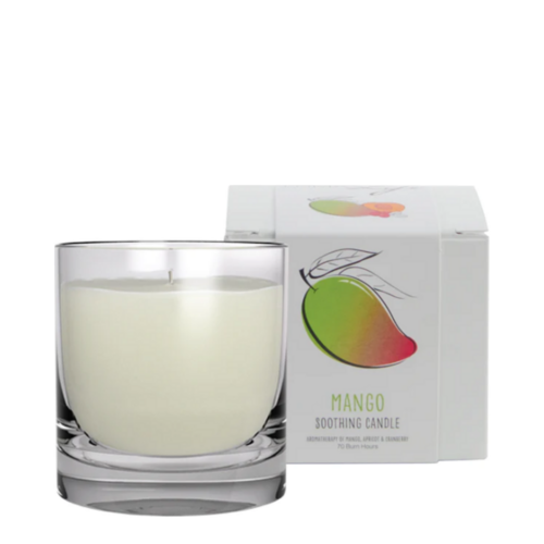 Loma Organics Clove Insight Candle on white background