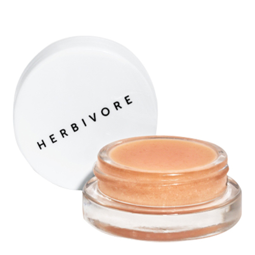 Herbivore Botanicals Coco Rose Lip Polish on white background