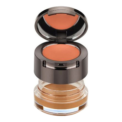 Cover and Correct Under Eye Concealer Duo - Dark