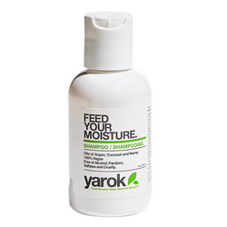 Feed Your Moisture Shampoo on white background