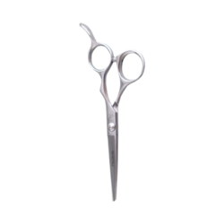 Lt-1 Shears 5.5 on white background