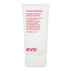 Evo Mane Attention Protein Treatment, 150ml/5.1 fl oz