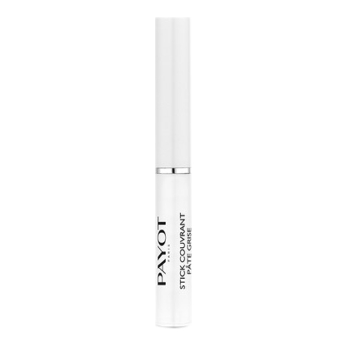 Payot Pate Grise Cover Stick on white background