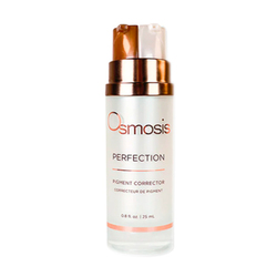 Perfection Pigment Corrector