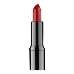 Professional Lipstick 11