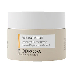 Repair and Protect Overnight Repair Cream on white background