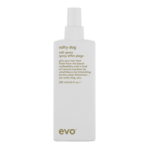 Evo Salty Dog Salt Spray on white background