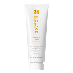 Smooth Proof Conditioner for Frizzy Hair on white background