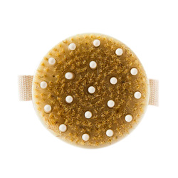 The Bathologist Dry Brush