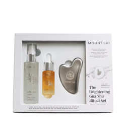 The Brightening Stainless Steel Gua Sha Essentials Set on white background