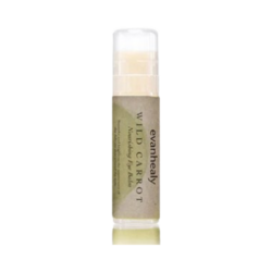 Wild Carrot Immortelle Eye Balm on white background