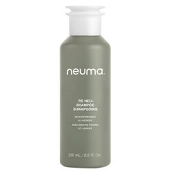 reNeu Shampoo on white background