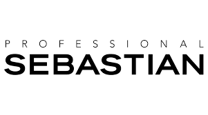 Sebastian Professional Logo